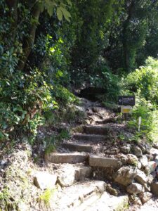 金華山を登り、岐阜城に行ってきました!